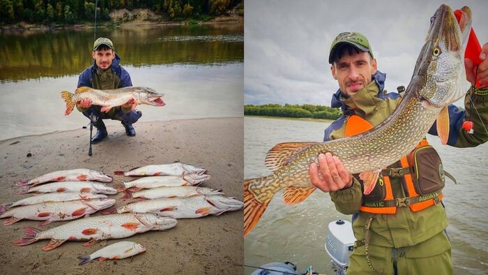    Максим Нохрин