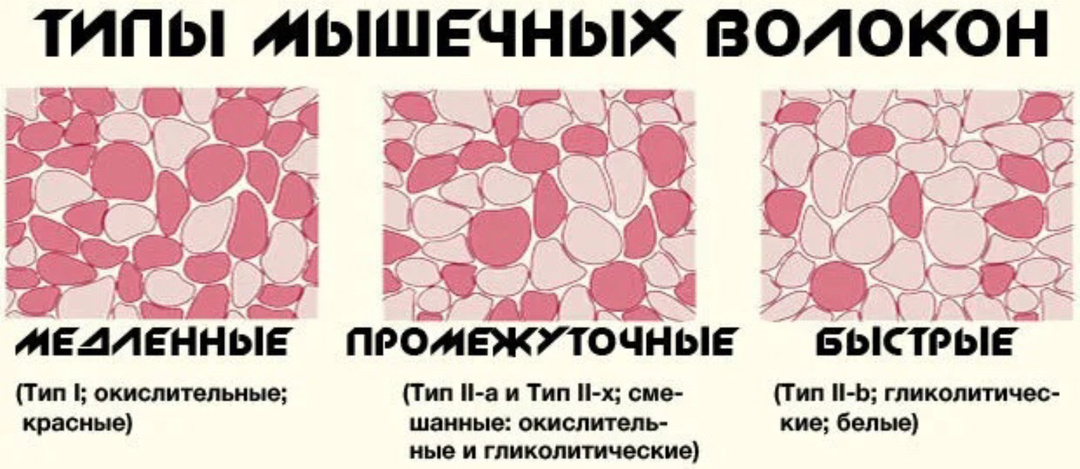 Как улучшить кровоснабжение и питание в тканях позвоночника?