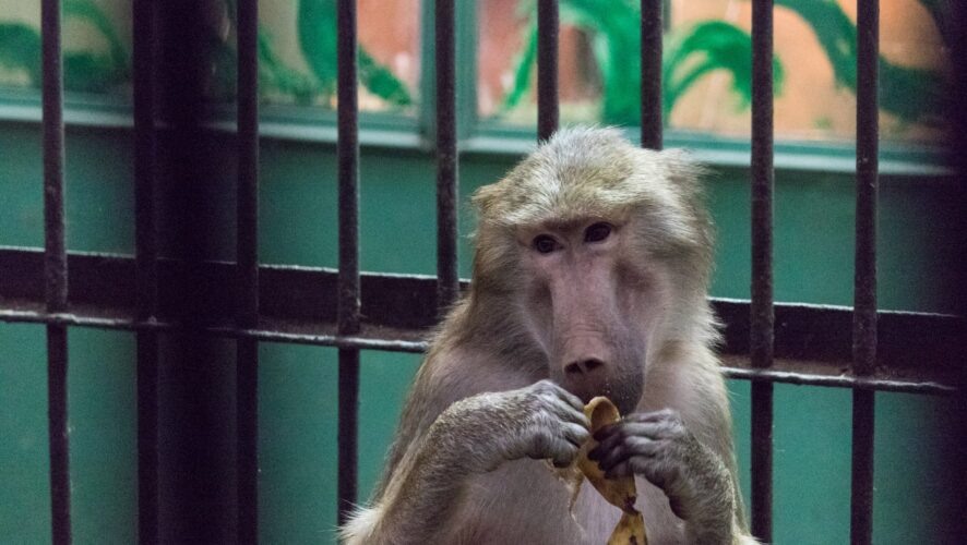    Фото: KazanFirst