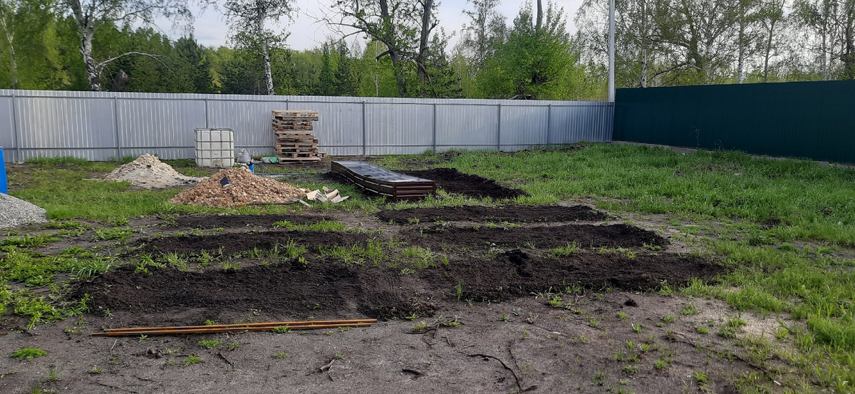 такие грядки мы успели сделать в первый суматошный сезон