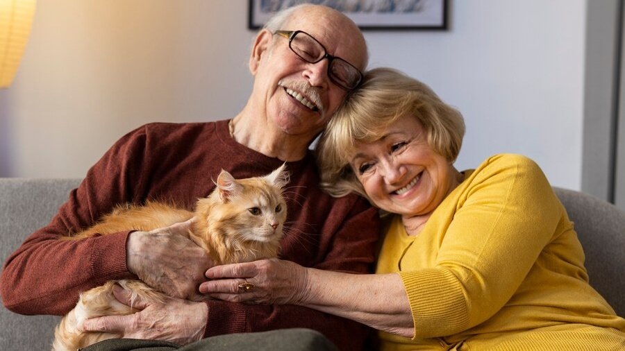 Картинки Яндекс