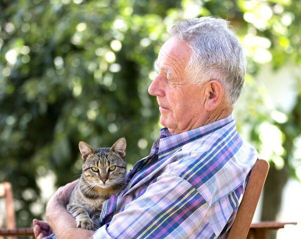 Картинки Яндекс