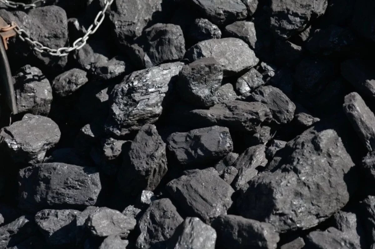    Министр объяснил, почему кузбассовцы не могут купить льготный уголь