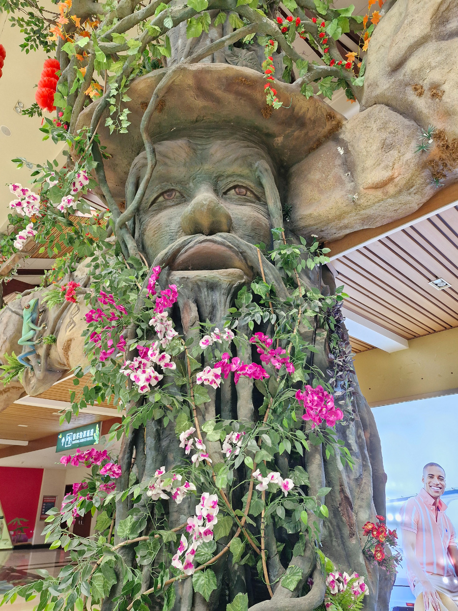 Экскурсия комплексная с посещением всех локаций: фуникулеры, стеклянный мост, подвесной мост, парк орхидей, водопады, зоопарк. Сюда же входил обед по системе шведский стол и трансфер из/в отель