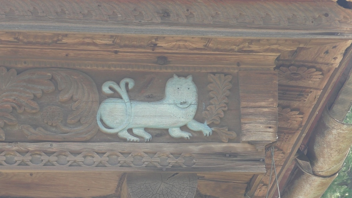 
 Кот или лев?