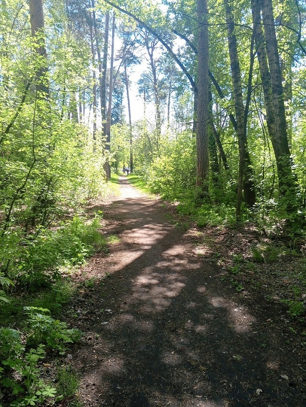 Шадринск. Экотропа «Шадринские боры». Фото: Serega Bush / ВКонтакте