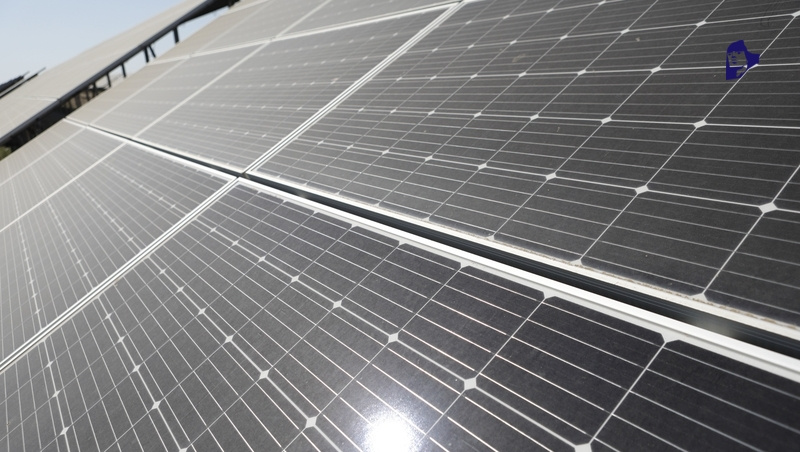      Фото: ИА «Победа26»