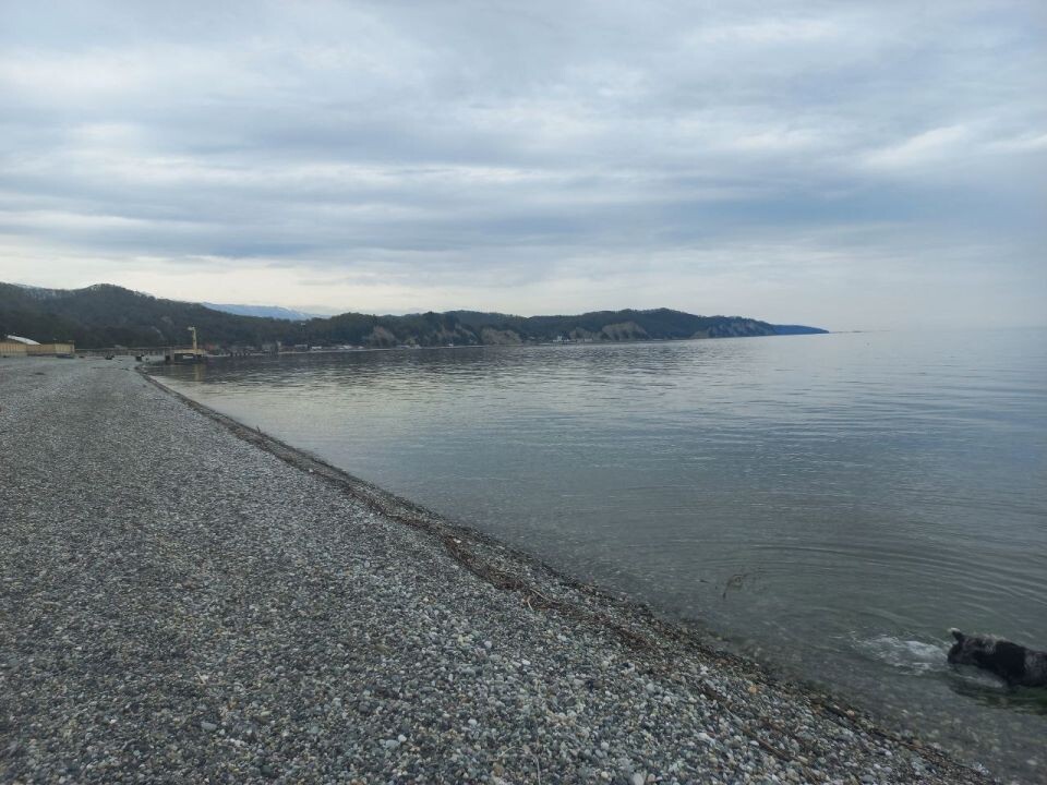    Пицунда. Море.. Источник: Олеся Веселкова / "Толк"