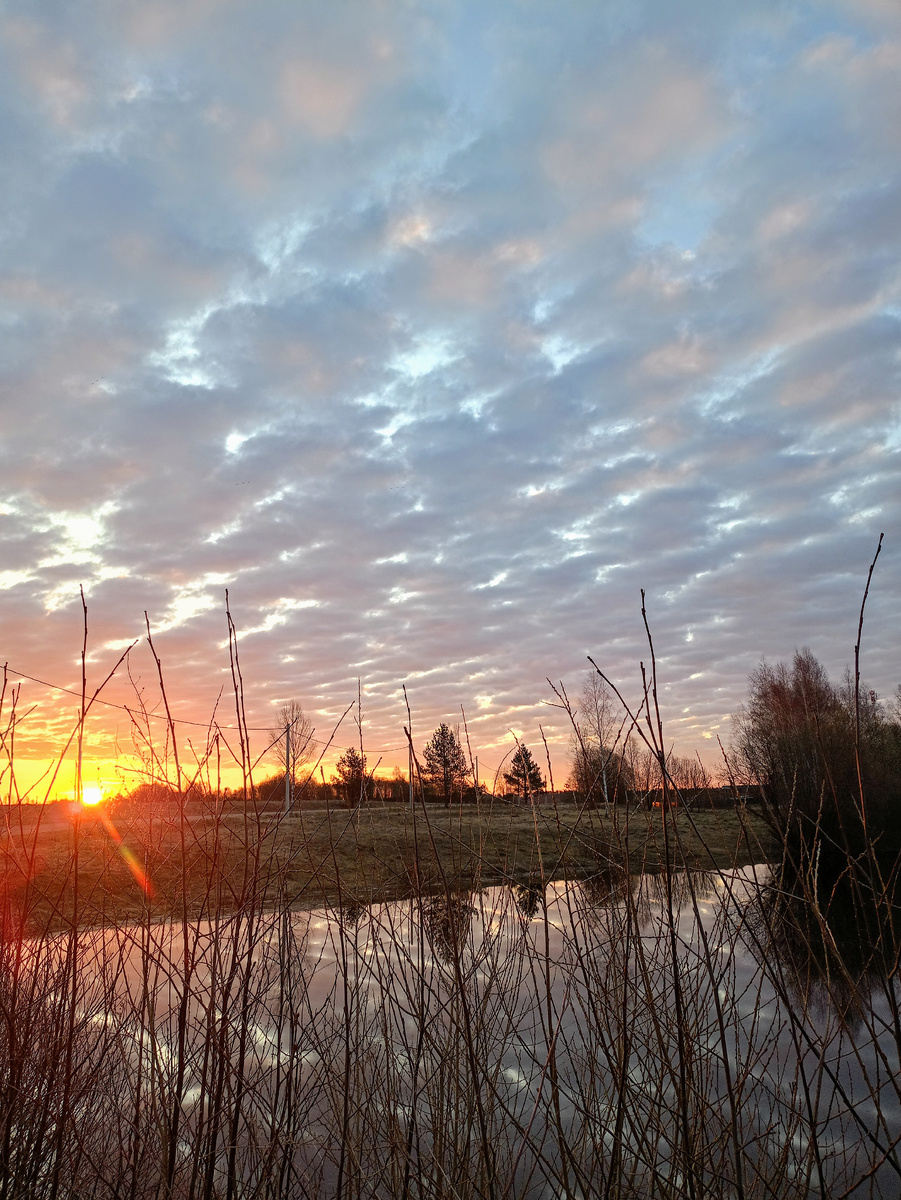 Весна, она такаая... 