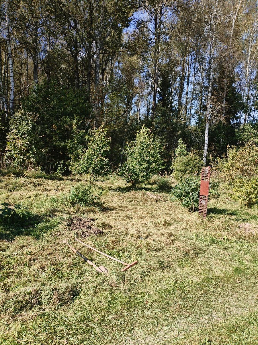 С одного подхода не одолеть. Жаль не запечатлел, что творилось "до" 