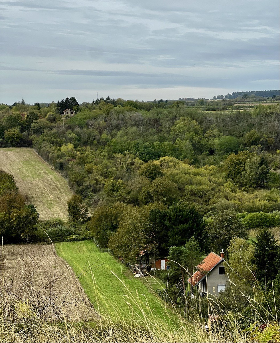 Уезжать всегда непросто