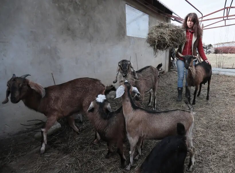     © РИА Новости. Виталий Белоусов