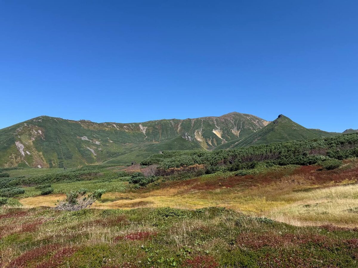 Фото автора. От Ирины. 