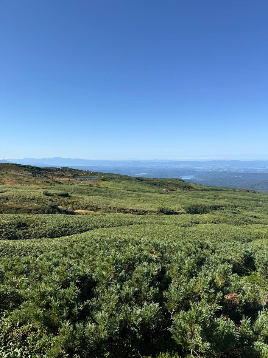 Фото автора. От Ирины