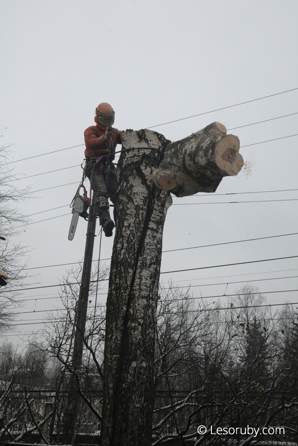 Работа в поселке Радищево