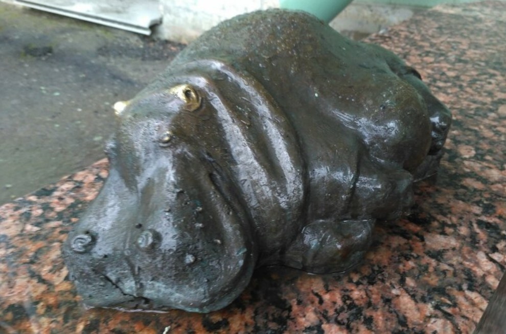 Фото: Бегемотиха Тоня во дворе филфака СПбГУ