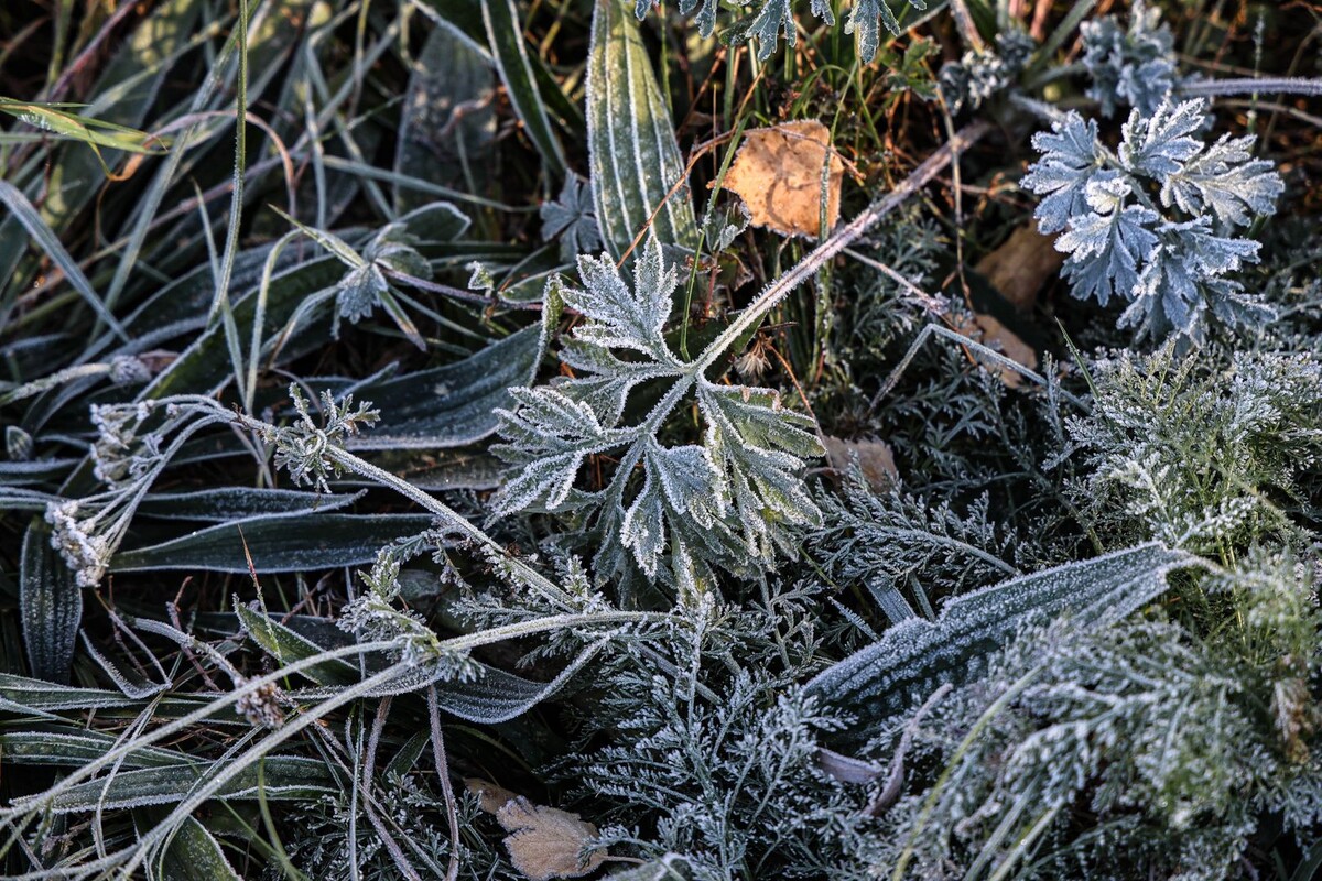     / Источник: © Global Look Press