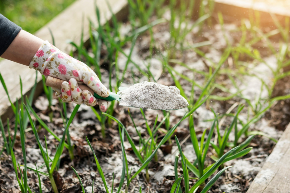    Shutterstock/FOTODOM