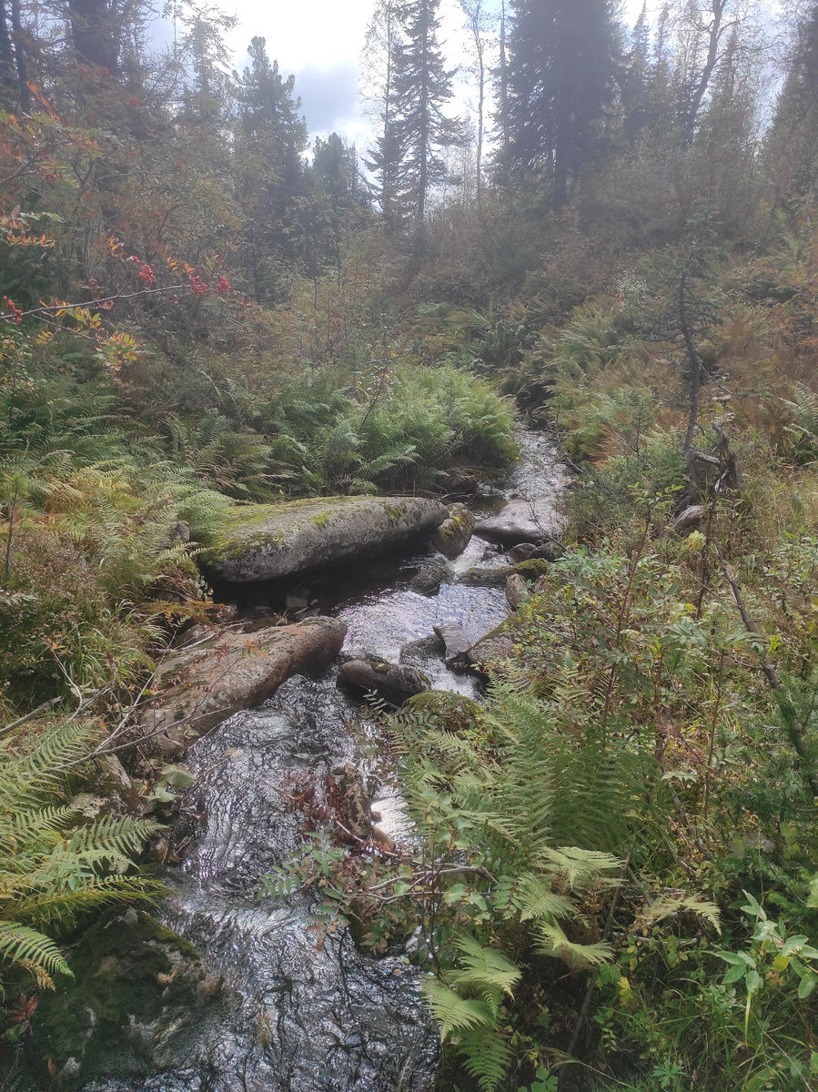 Иногда приходилось идти чуть ли не по воде