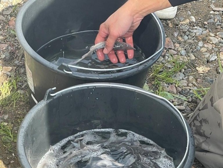    Фото: Росприроднадзор