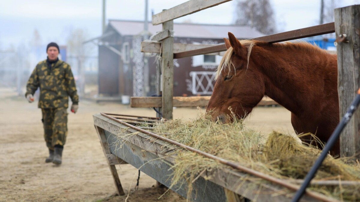    Фото: Юлия Чудинова / «Ямал-Медиа»