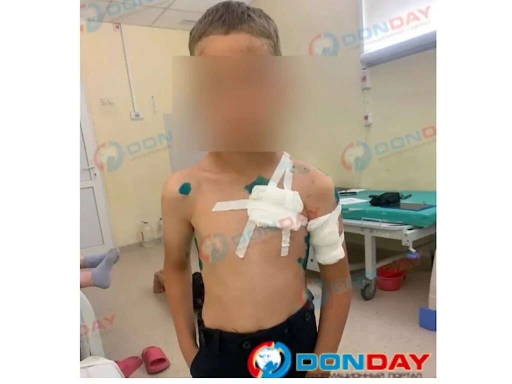    Фото: Дондей Веселовские вести