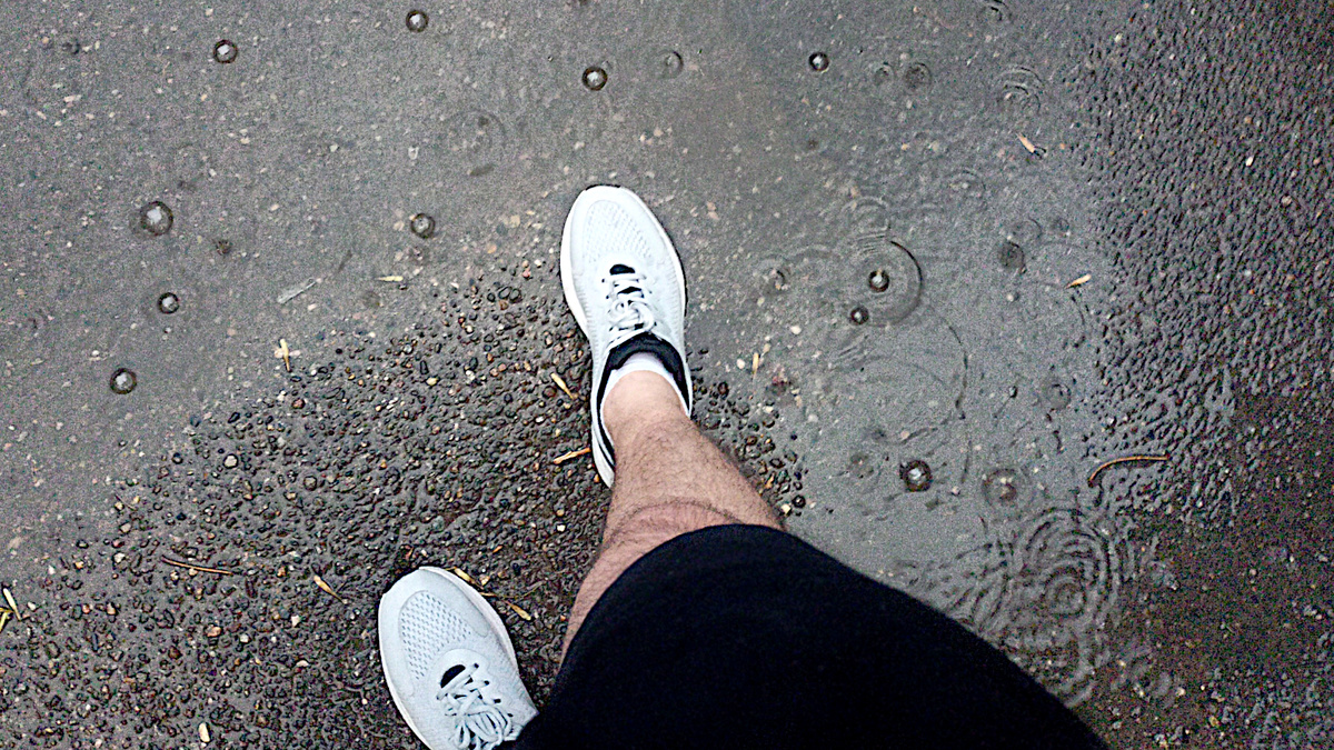 Спорый дождь