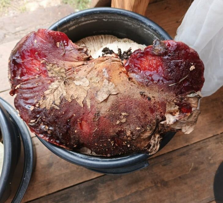    Фото из сообщества ВК