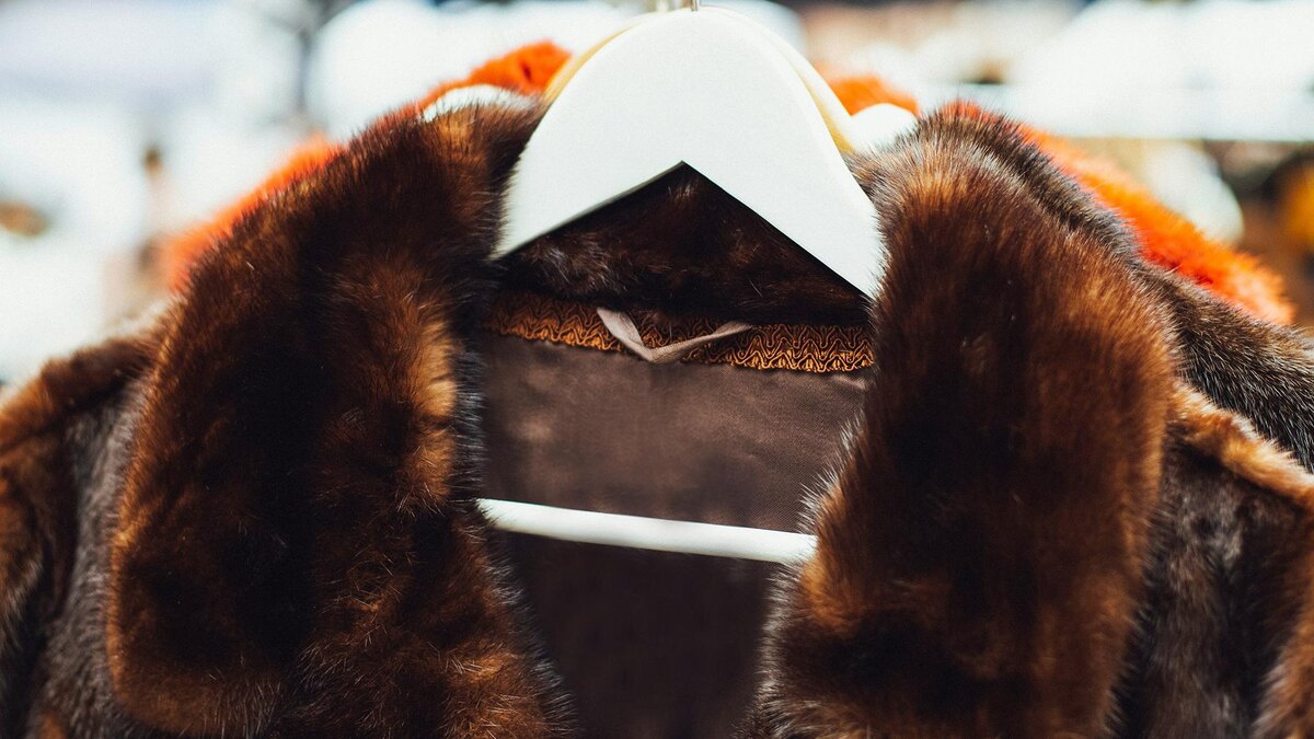    Фото: unsplash.com