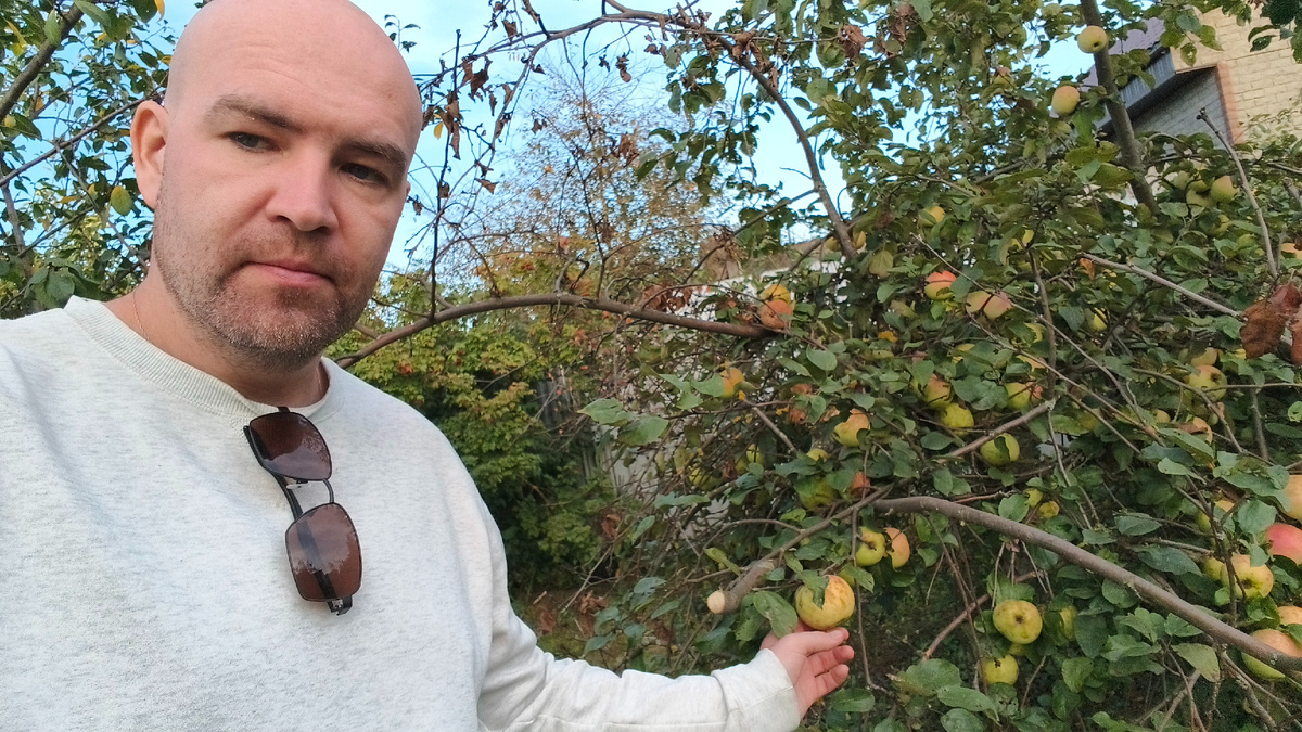 Можно поесть яблок из сада - хоть это бесплатно.