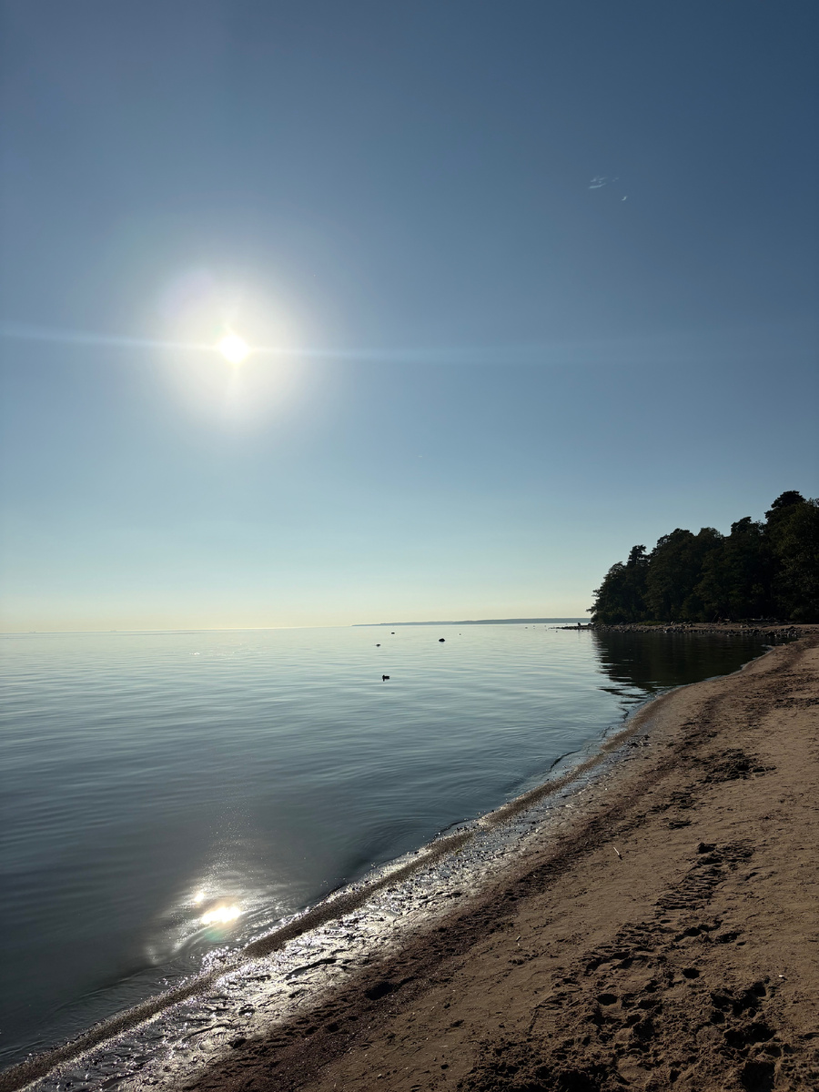 Фото автора.