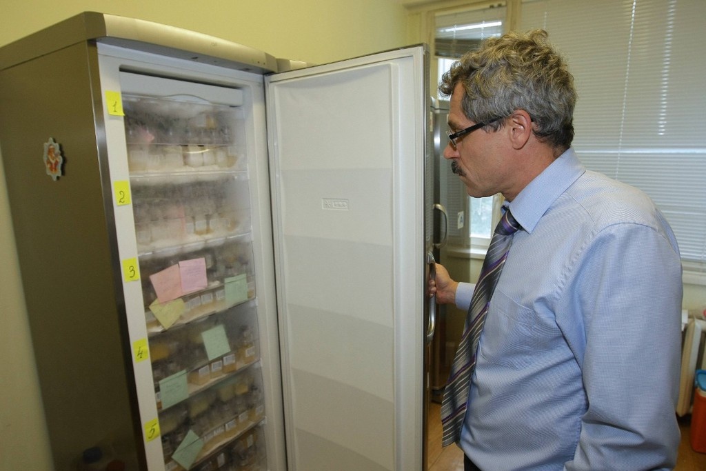    Фото © Imago / ТАСС