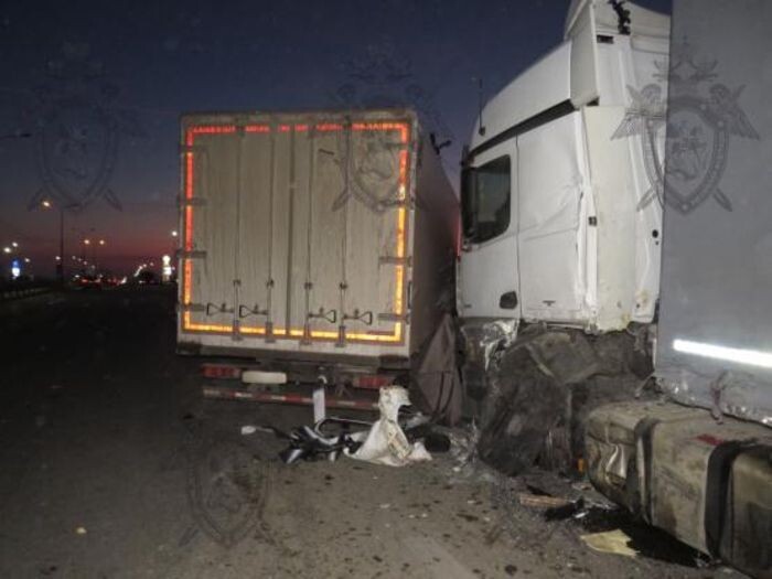 Иллюстрация: sledcom.ru