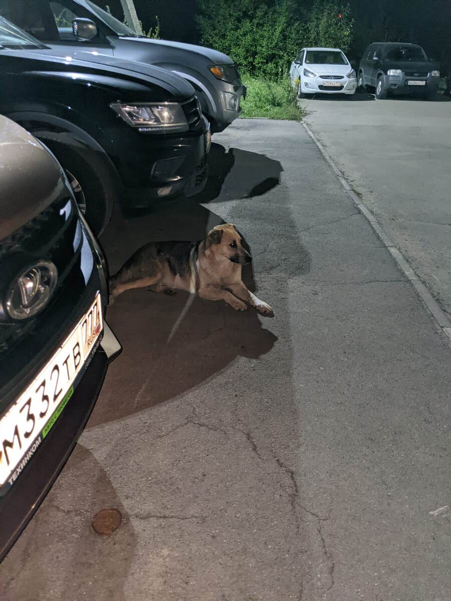 Бима на парковке