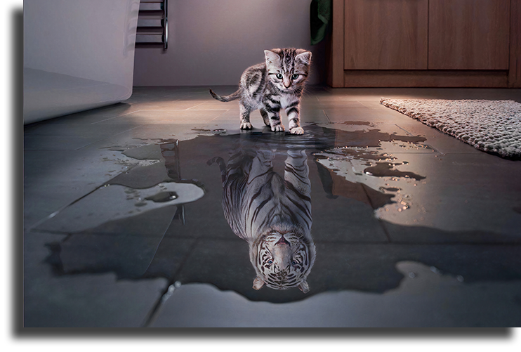 42 Обучающих письма - Дерек Принс