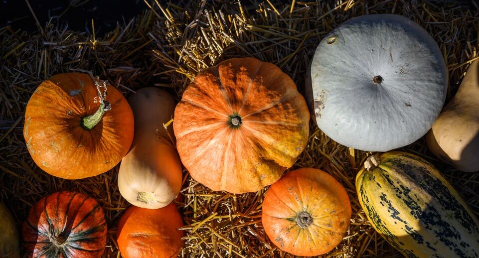    Медиасток.рф