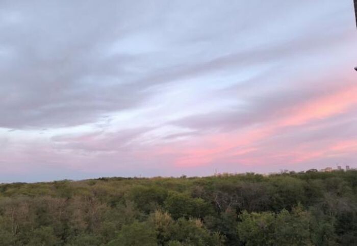 Иллюстрация: © «Панорама»