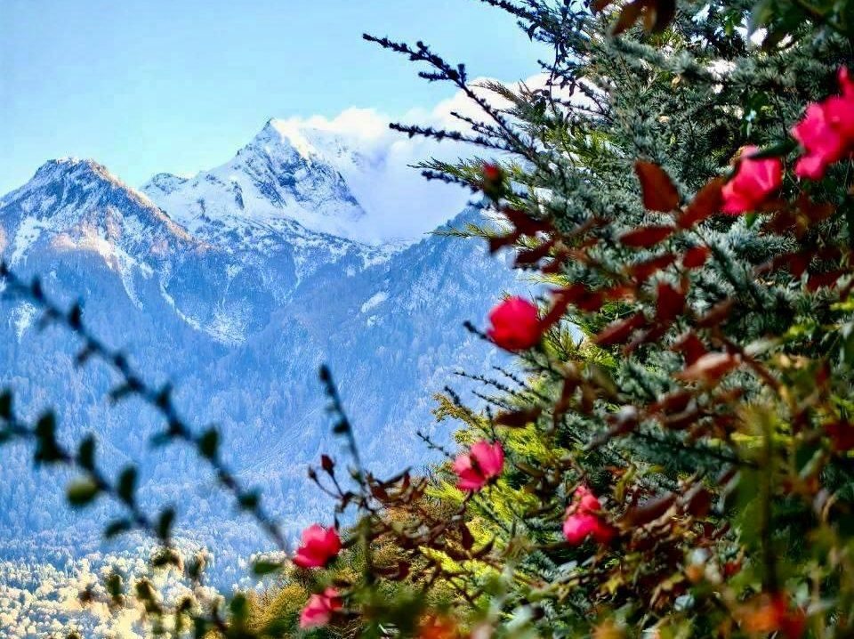    фото: Сочи 24