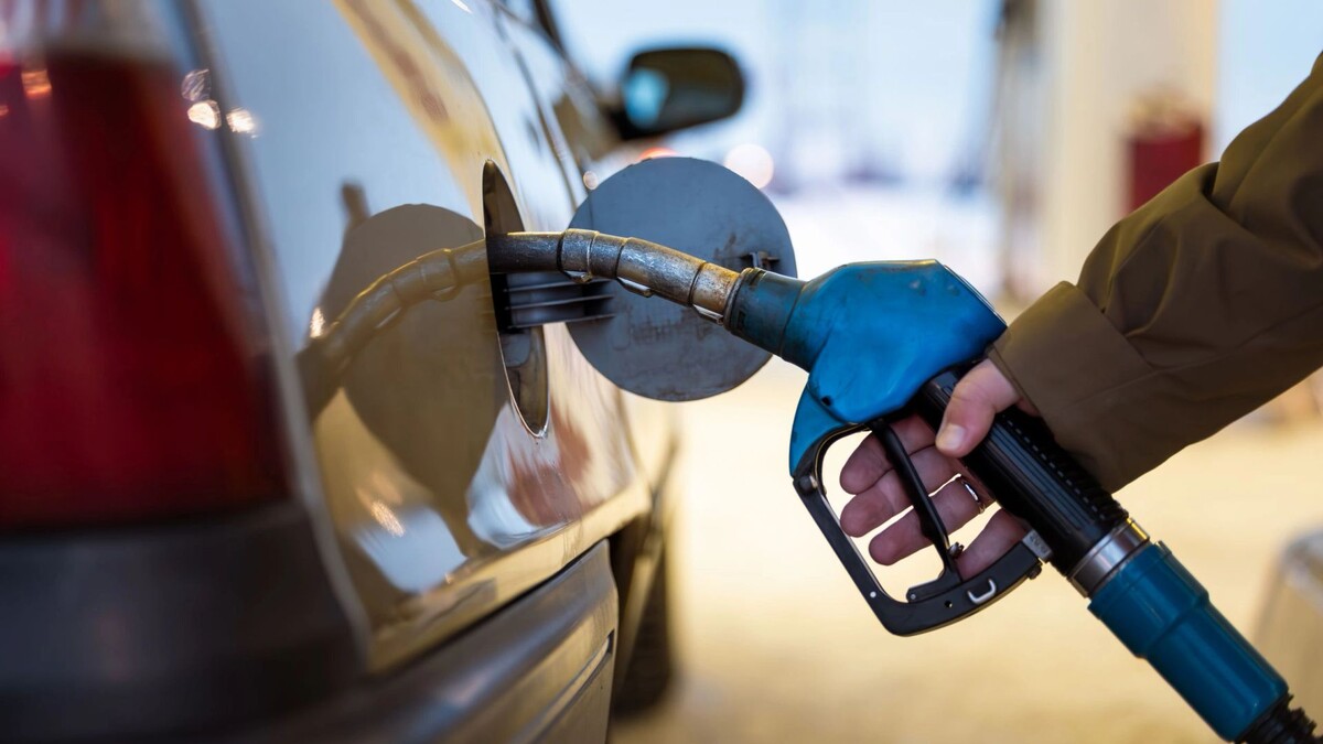    Фото: Юлия Чудинова / «Ямал-Медиа»