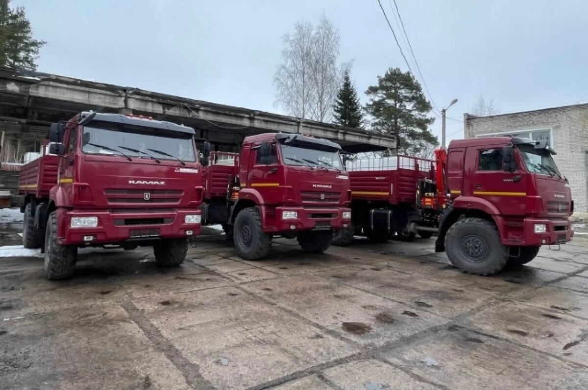    Спасатели в Петербурге вывели из леса двоих пожилых грибников за день
