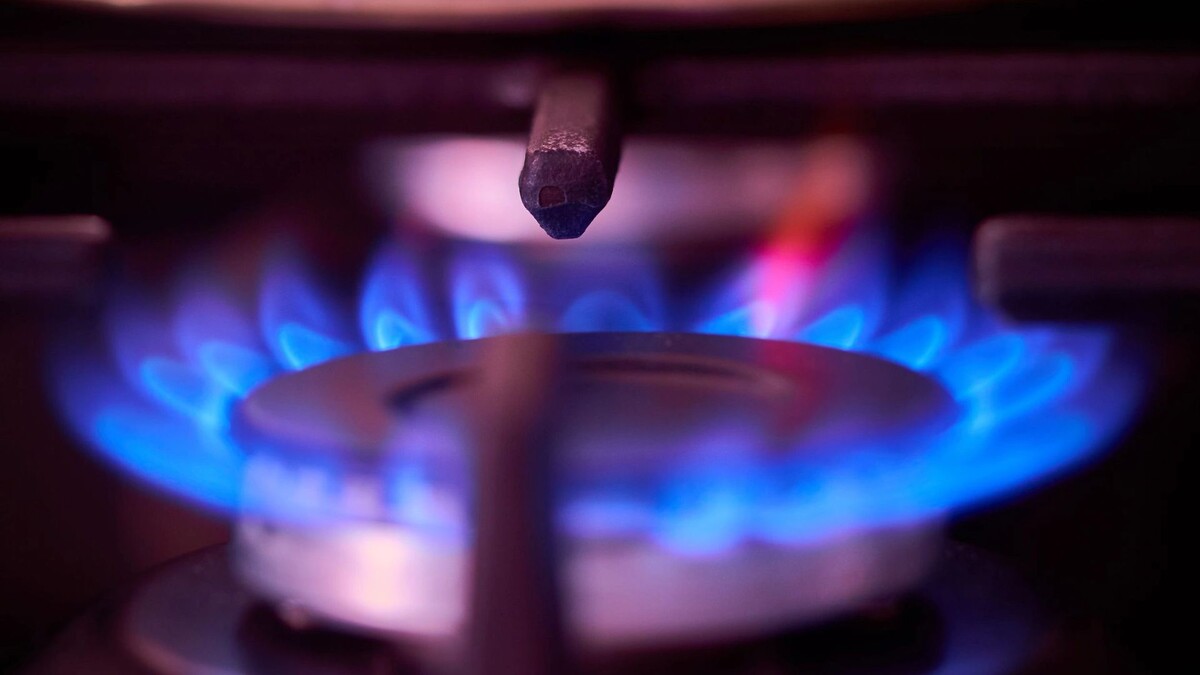    Фото: Igorfoto/Shutterstock/Fotodom