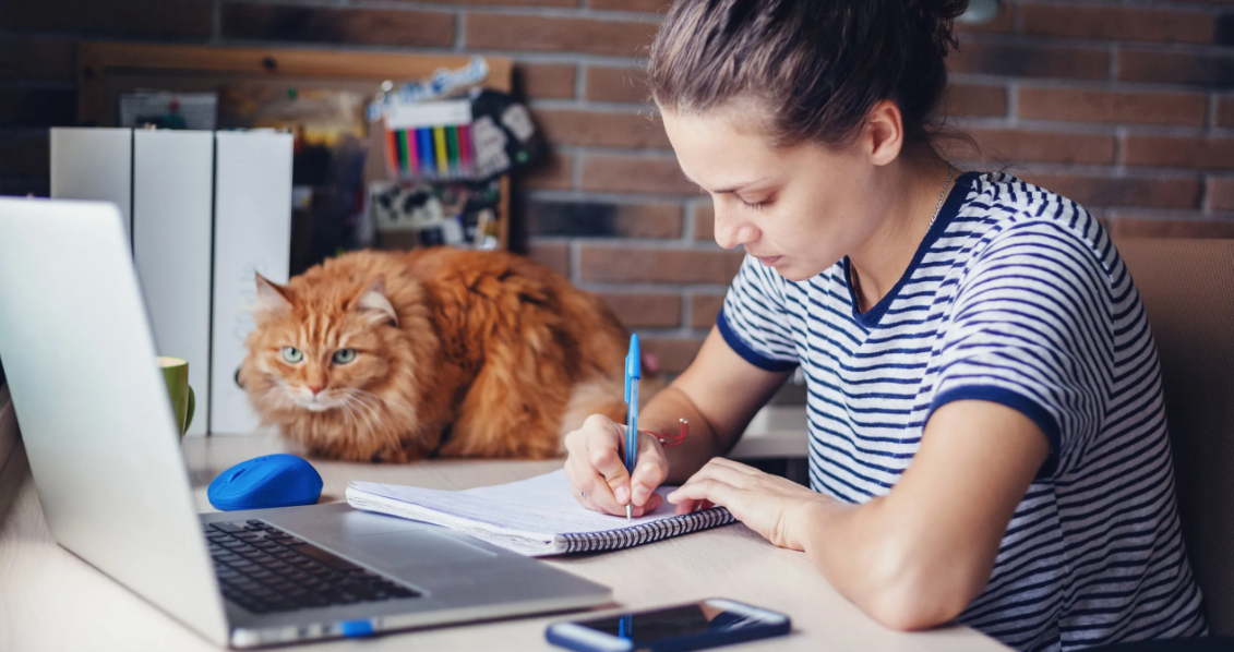 Компьютерные курсы онлайн