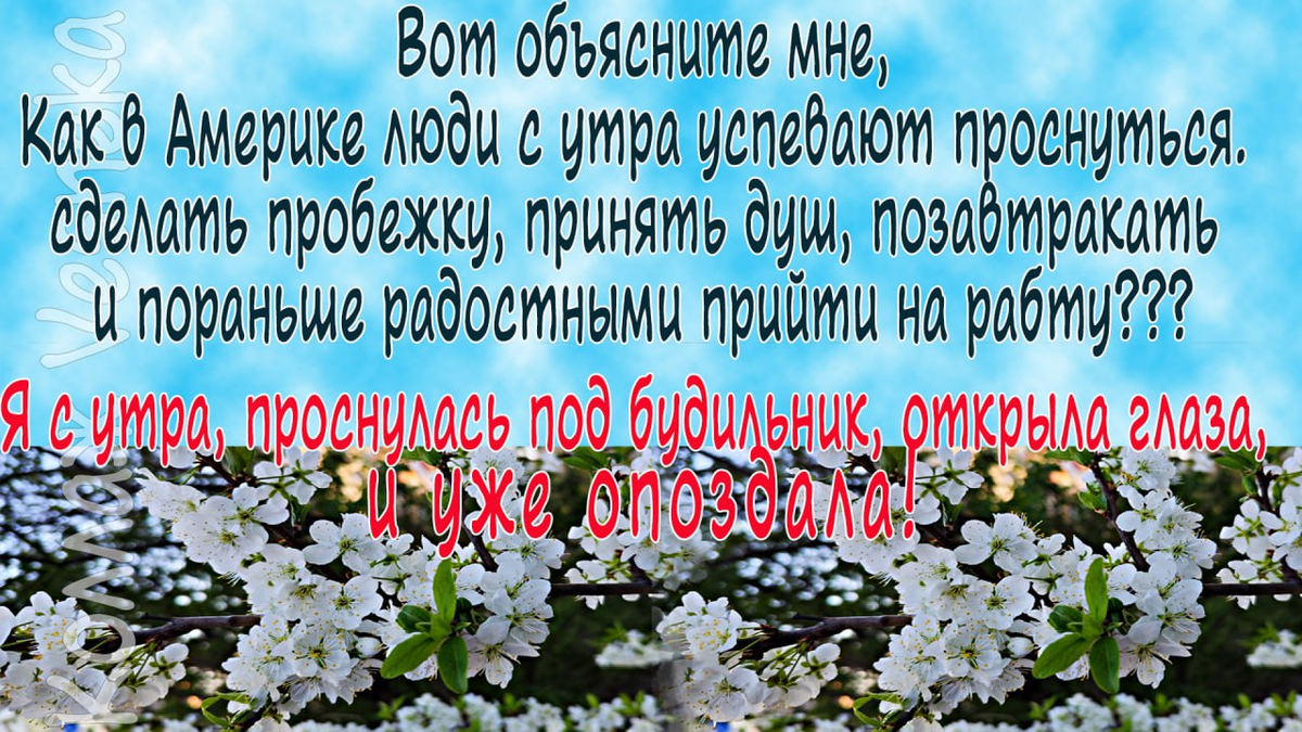 Коллаж автора