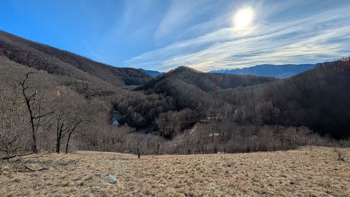    Фото: телеканал «Краснодар»