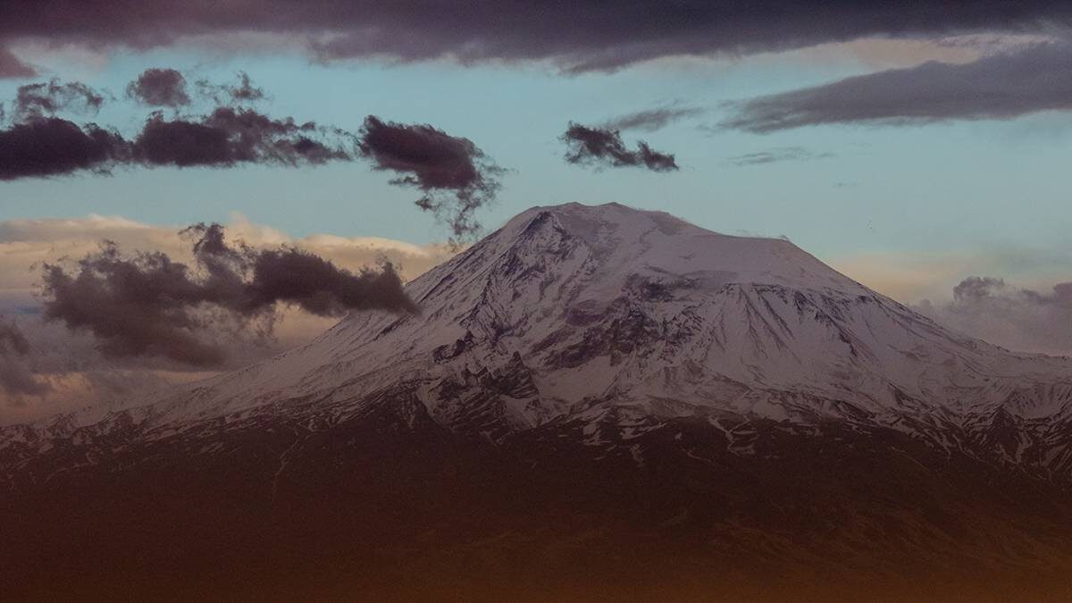    Фото: Shutterstock