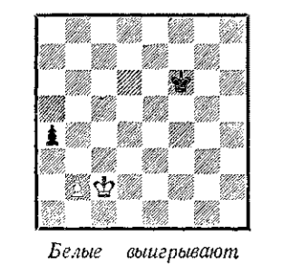 Позиция №12