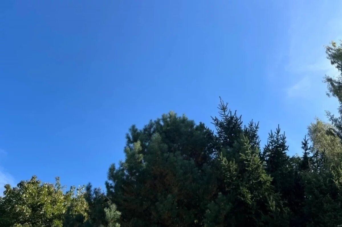    Стало известно, когда бабье лето покинет Тульскую область