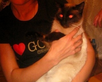 Тот самый Васька Оскар