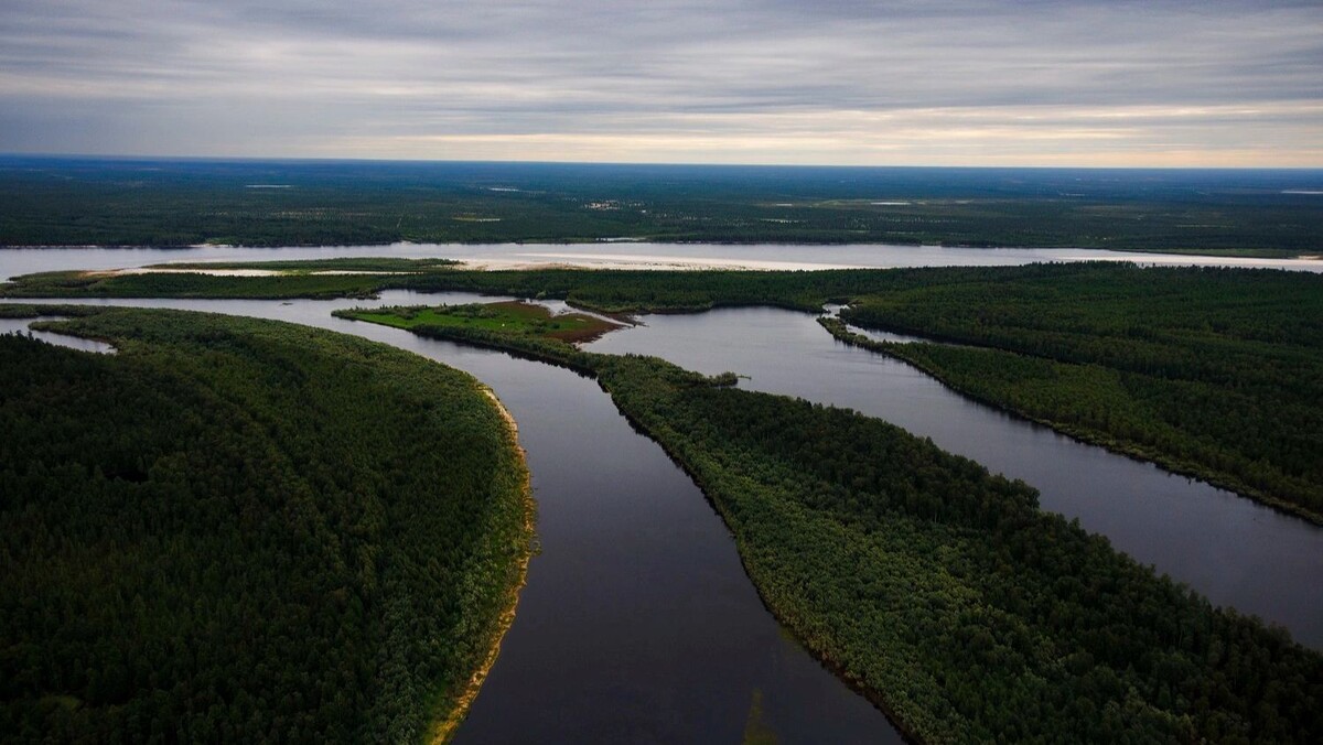    Фото: предоставлено из личного архива Андрея Понамарёва