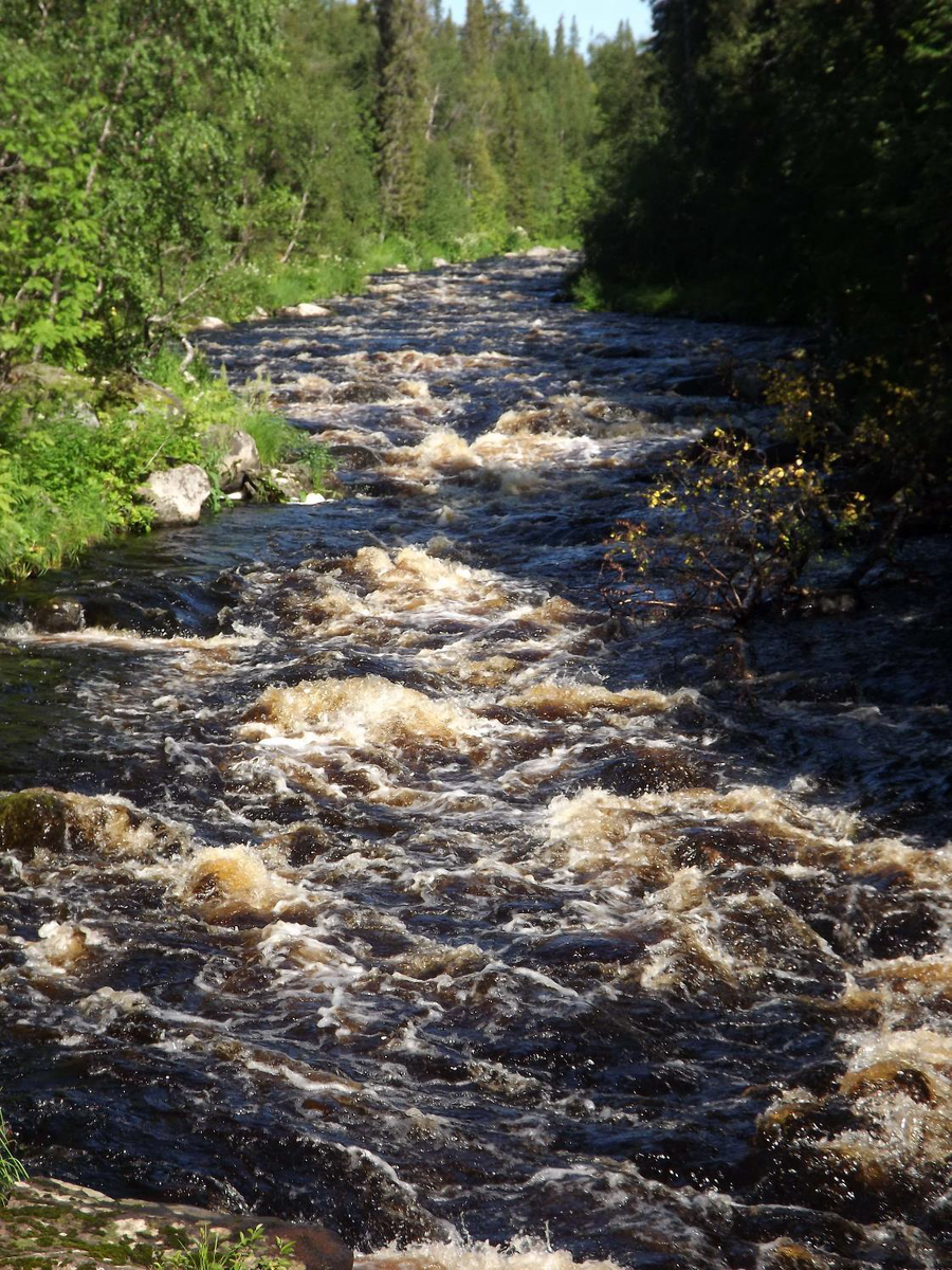  Река Хлебная. Фото Б. Артамонова